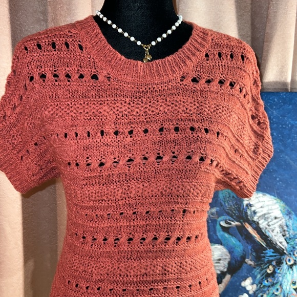 Architect Size PS Short Sleeve Coral Sweater - Picture 2 of 9